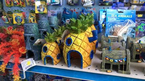 sponge bob tank accessories